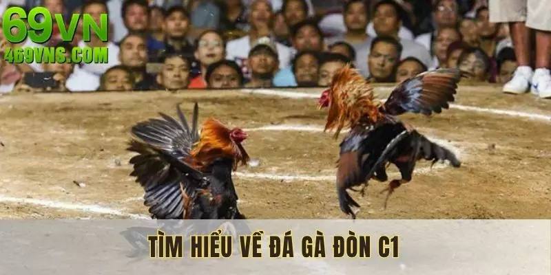 Tìm hiểu sơ lược về bộ môn đá gà đòn C1 thịnh hành hiện nay